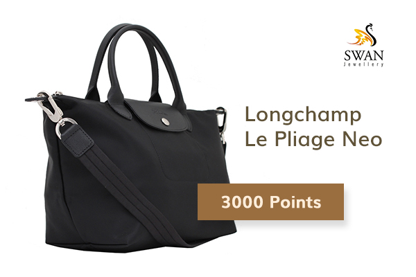 Longchamp